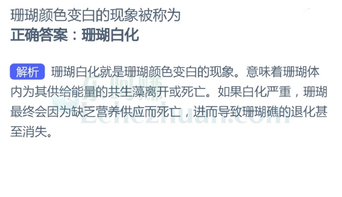 珊瑚颜色变白的现象被称为?