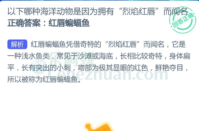 以下哪种海洋动物是因为拥有“烈焰红唇”而闻名?