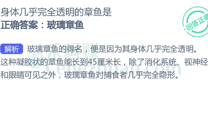 身体几乎完全透明的章鱼是?