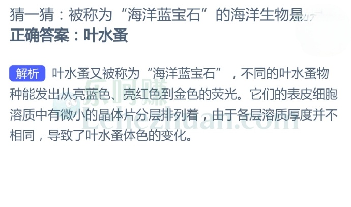 被称为“海洋蓝宝石”的海洋生物是?