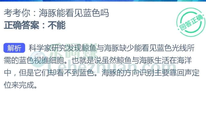 海豚能看见蓝色吗?