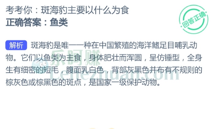 斑海豹主要以什么为食?