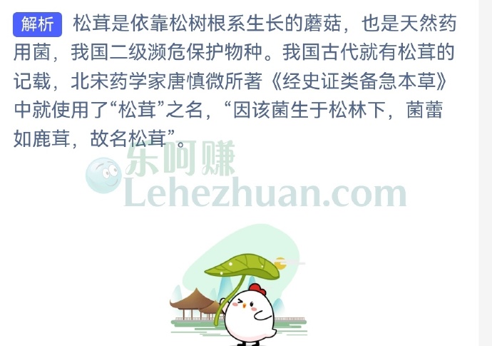 “生于松林下,菌蕾如鹿茸”指的是哪种野生菌?