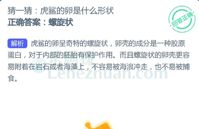 虎鲨的卵是什么形状?