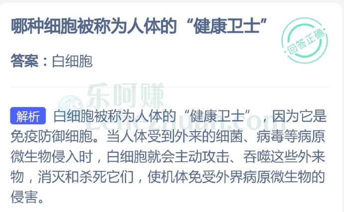 哪种细胞被称为人体的“健康卫士”?