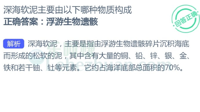 深海软泥主要由以下哪种物质构成?