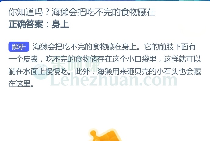 海獭会把吃不完的食物藏在?