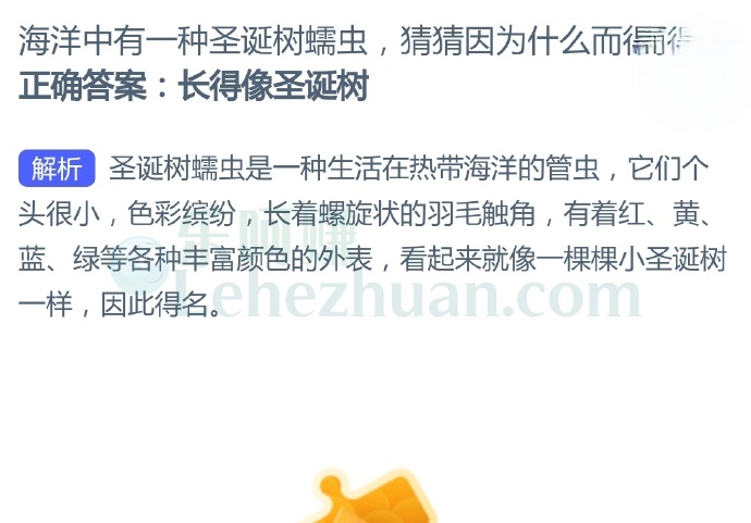 海洋中有一种圣诞树蠕虫,猜猜因为什么而得名?