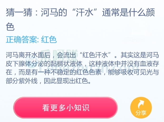 河马的“汗水”通常是什么颜色?