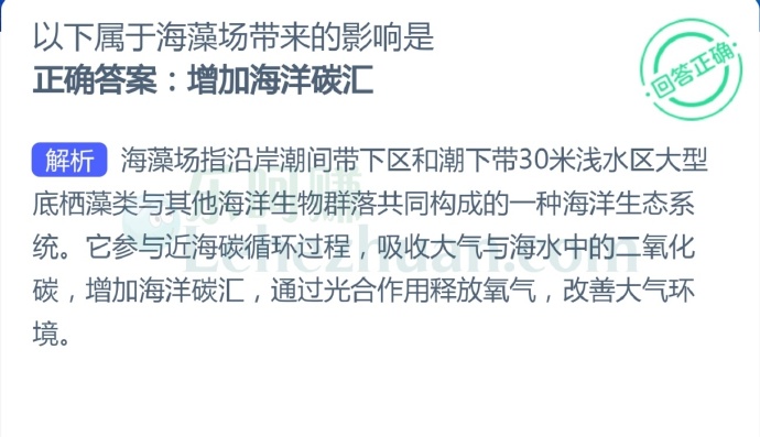以下属于海藻场带来的影响是?