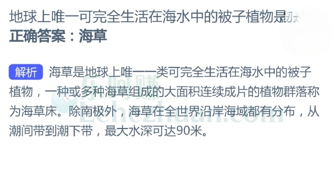 地球上唯一可完全生活在海水中的被子植物是?