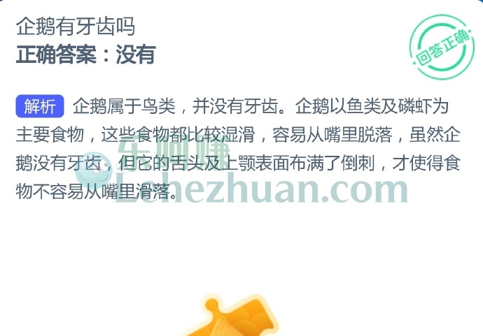 企鹅有牙齿吗?