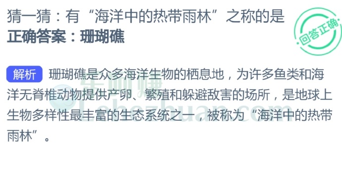 有“海洋中的热带雨林”之称的是?