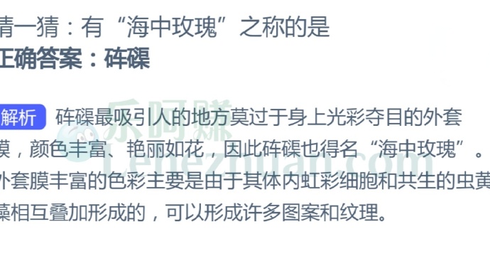 有“海中玫瑰”之称的是?