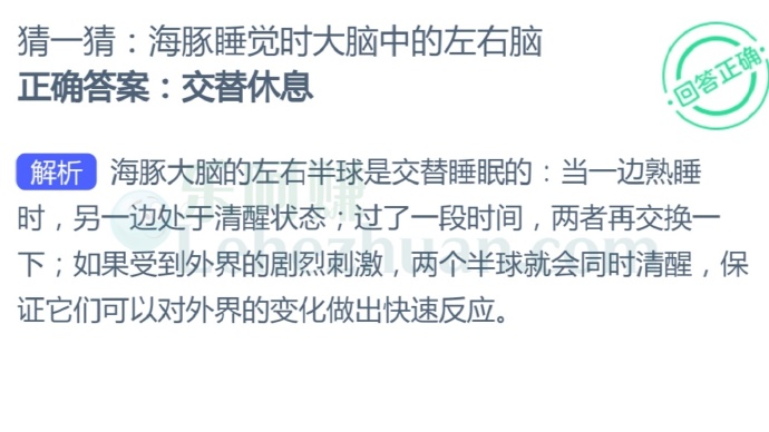 海豚睡觉时大脑中的左右脑可以?