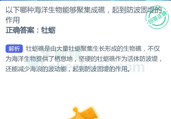 以下哪种海洋生物能够聚集成礁,起到防波固堤的作用?