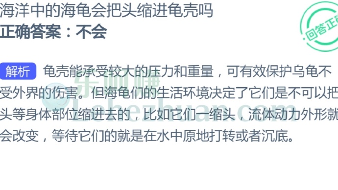 海洋中的海龟会把头缩进龟壳吗?