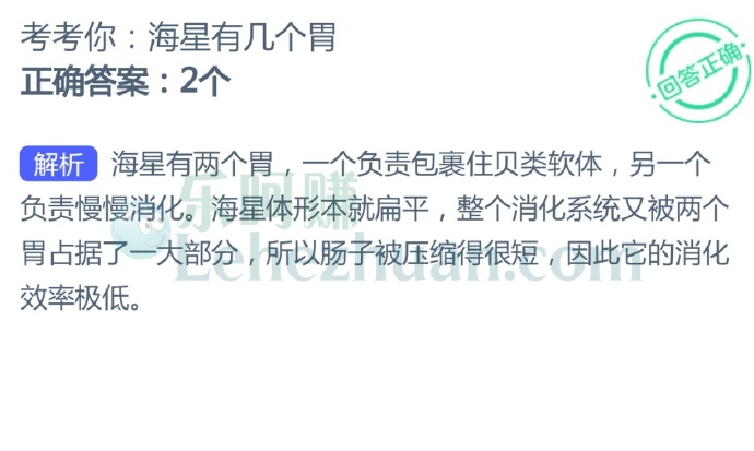 海星有几个胃?