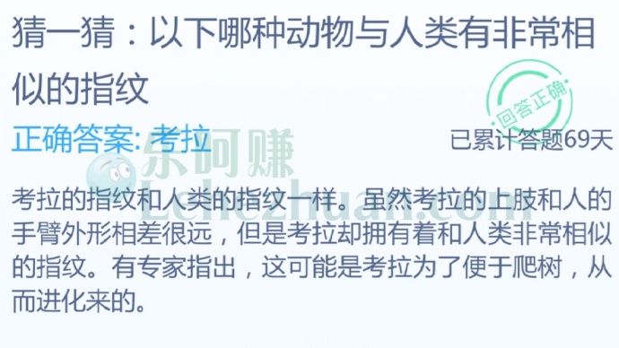 以下哪种动物与人类有非常相似的指纹?