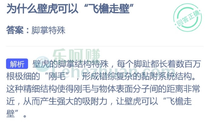 为什么壁虎可以“飞檐走壁”?