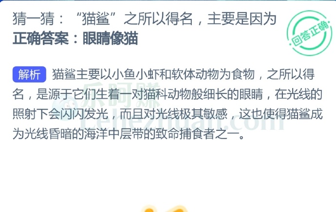 “猫鲨”之所以得名,主要是因为?