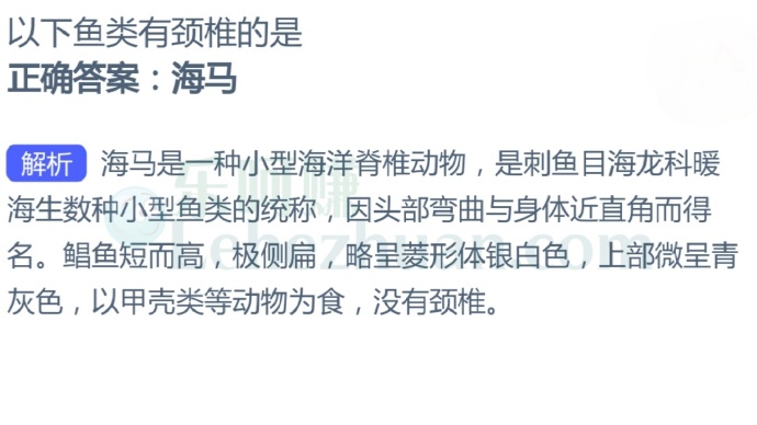 以下鱼类有颈椎的是?