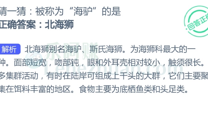 被称为“海驴”的是?