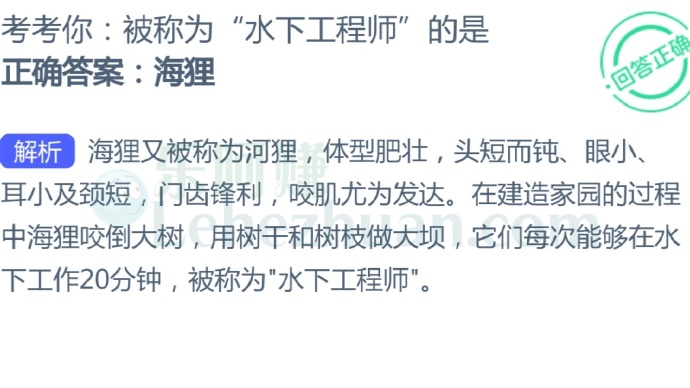 被称为“水下工程师”的是?