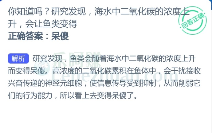 研究发现,海水中二氧化碳的浓度上升,会让鱼类变得?