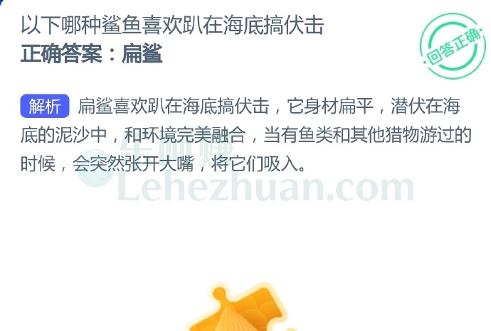 以下哪种鲨鱼喜欢趴在海底搞伏击?