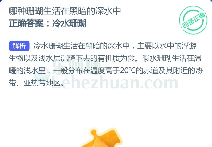 哪种珊瑚生活在黑暗的深水中?