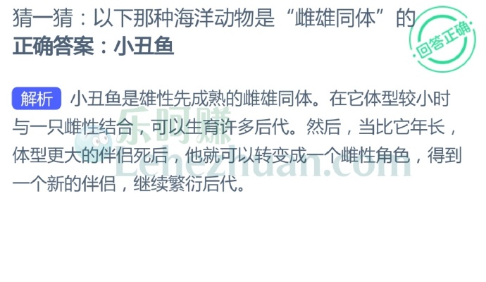 以下那种海洋动物是“雌雄同体”的?