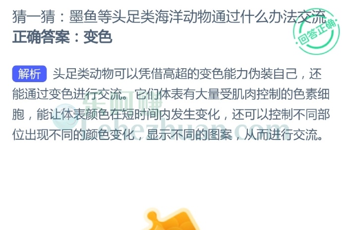 墨鱼等头足类海洋动物通过什么办法交流?