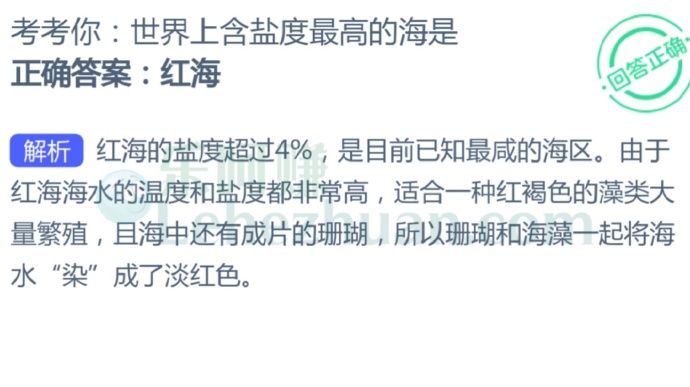 世界上含盐度最高的海是?