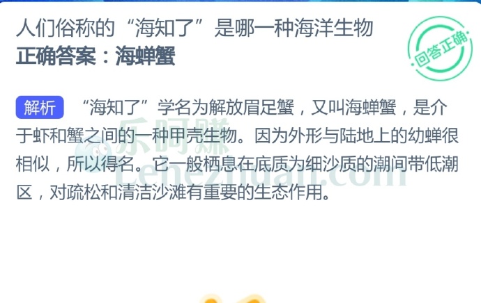 人们俗称的“海知了”是哪一种海洋生物?