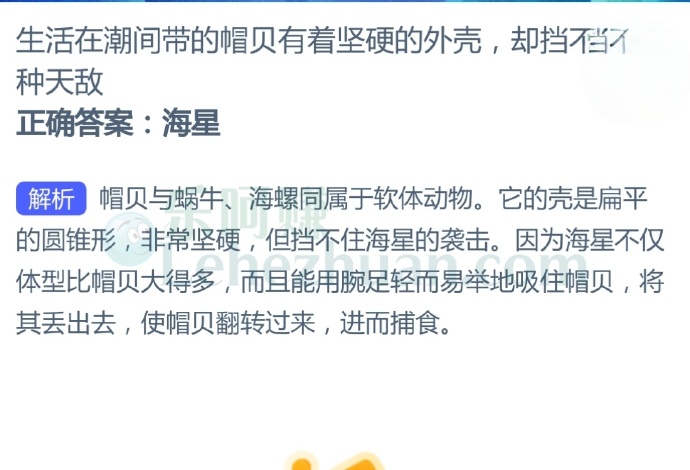 生活在潮间带的帽贝有着坚硬的外壳,却挡不住哪种天敌?