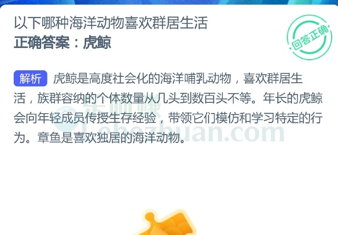 以下哪种海洋动物喜欢群居生活?