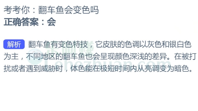 翻车鱼会变色吗?