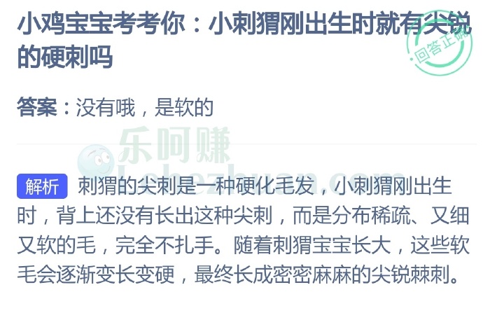 小刺猬刚出生时就有尖锐的硬刺吗?
