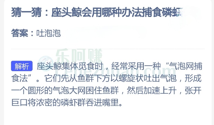 座头鲸会用哪种办法捕食磷虾?
