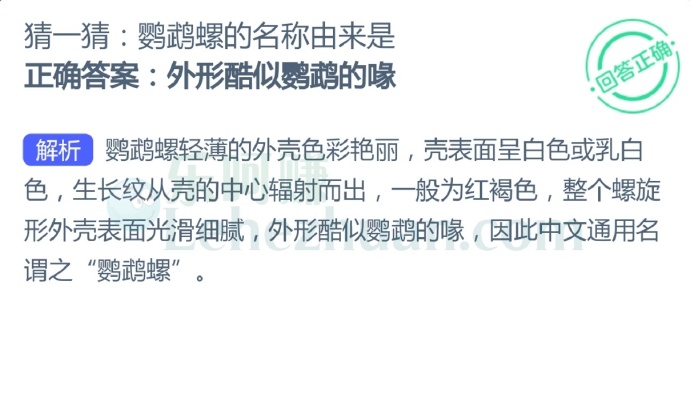 鹦鹉螺的名称由来是?