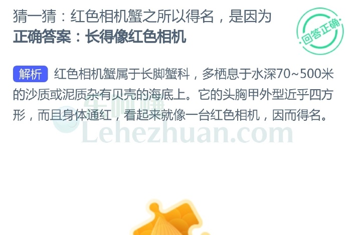 红色相机蟹之所以得名,是因为?