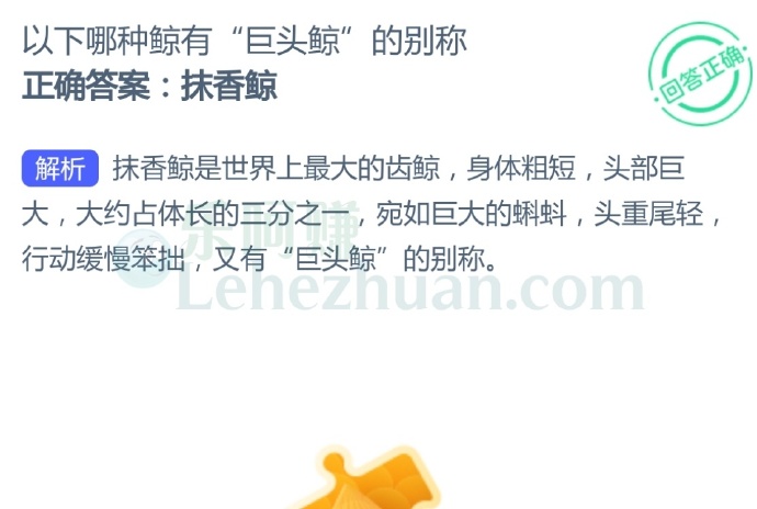 以下哪种鲸有“巨头鲸”的别称?