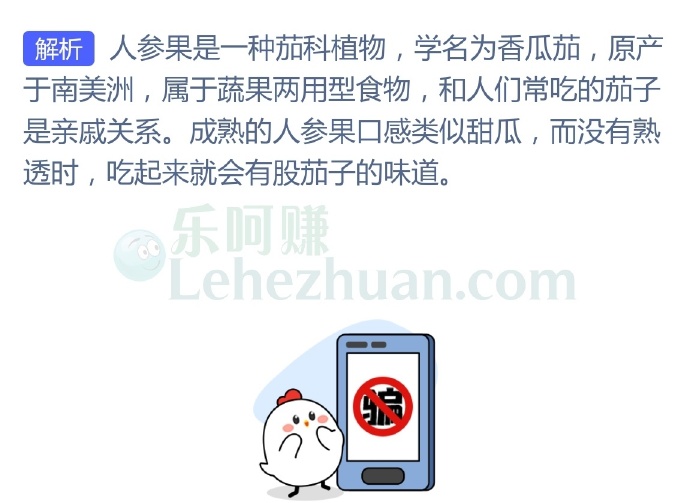 水果“人参果”和以下哪种蔬菜是亲戚关系?