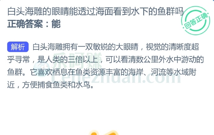 白头海雕的眼睛能透过海面看到水下的鱼群吗?