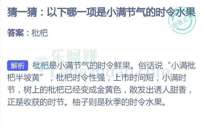以下哪一项是小满节气的时令水果?