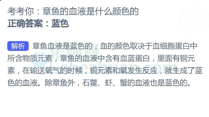 章鱼的血液是什么颜色的?