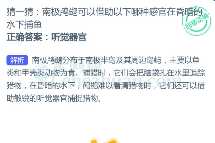 南极鸬鹚可以借助以下哪种感官在昏暗的水下捕鱼?