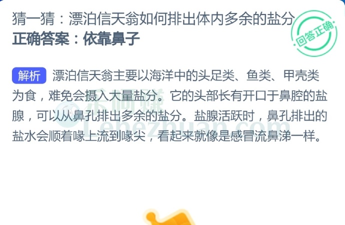 漂泊信天翁如何排出体内多余的盐分?