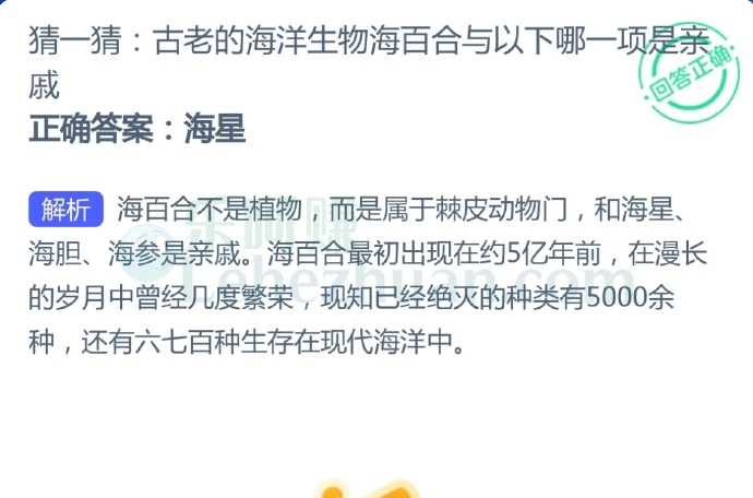 古老的海洋生物海百合与以下哪一项是亲戚?